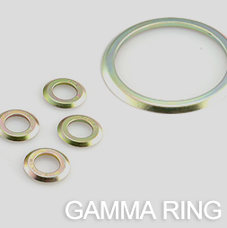 Gamma Rings