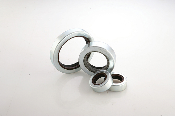 #08 Oil Seals